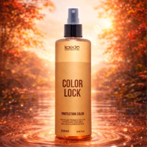 COLOR LOCK 250ML