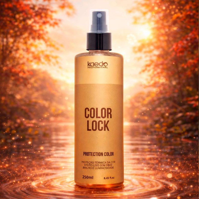 COLOR LOCK 250ML